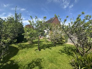 Photo 37- click for photo gallery